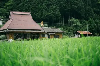 Image de A thatchedroof farmhouse nestled in nature at the foot of Mount Koya / Ito-gun Wakayama