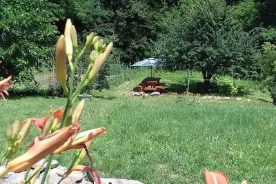 Image de Charmant gîte avec vue sur les Cévennes et  le terrain de 3000m2