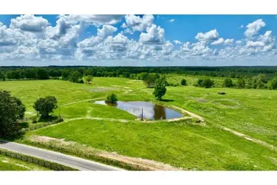 Image de Fish, Play, Sleep on the Bayou