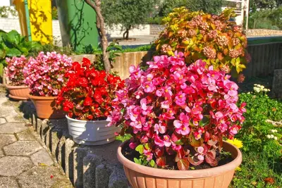 Image de Appartement de deux chambres avec le balcon et la vue sur le mer Rabac, Labin (A-20746-b)