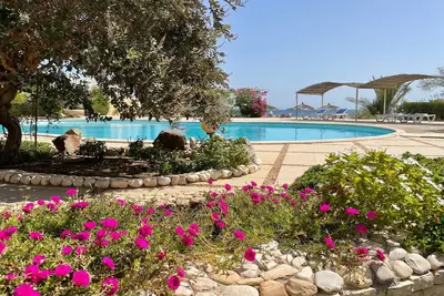 Image de Studios reposant en bord piscine et mer entourés de verdure