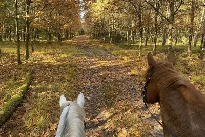 Image de Maison de vacances sur un manège