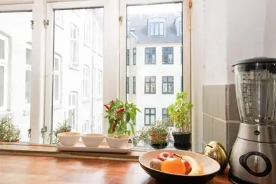 Heart Of Copenhagen Ocean View