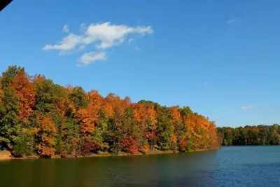 Image de Lakefront Life on Tim's Ford Lake