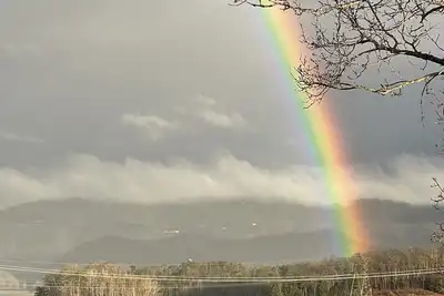 Image de Paradise Found