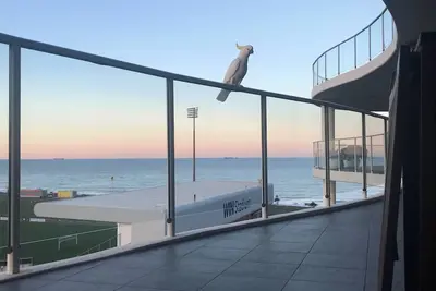 Image de Only July, Christmas last 2 weeks Dec\/ New years, Ocean view. 9th level Luxury