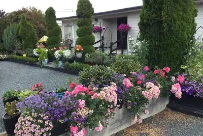 Image de Downtown Parksville at The Bent Tree! \n