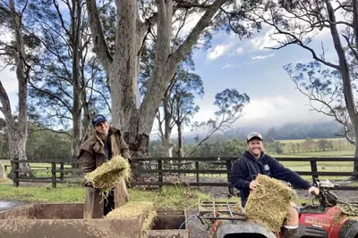 Image de Newly Renovated Apartment on stunning Arabian Horse Stud