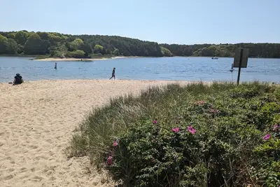 Image de 5 minute walk to small community Beach, 3 miles to Menauhant Beach