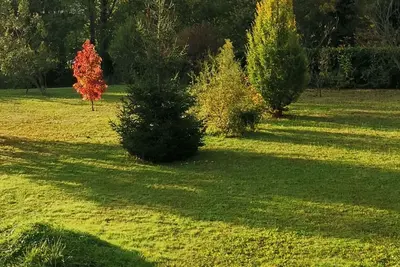 Image de Au Pays d'Olmes