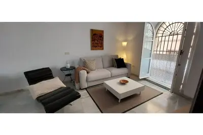 Image de 2 Flamenco Bb