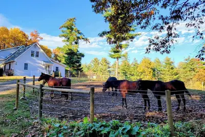 Image de Serene 1-bedroom suite on 65 acre horse property