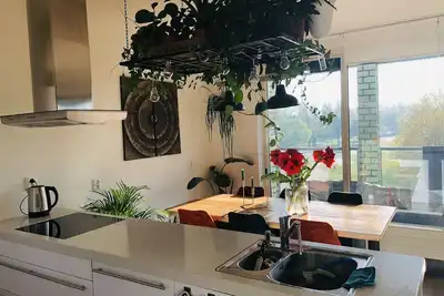 Image de Gorgeous apartment near Center/ Airport (+parking)