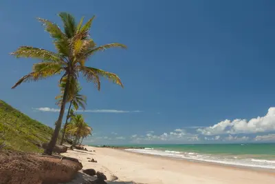 Image de Chocolate with Pepper Building
