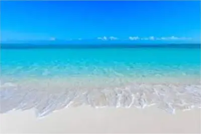 Image de Seashell Vaca unit 2.