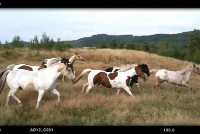 Image de Holiday Home @ EddyLou Ranch