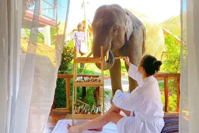 Image de The Elephant B&B