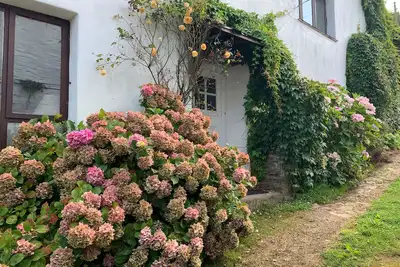 Image de Lower Mill, pet friendly, character holiday cottage in Dittisham