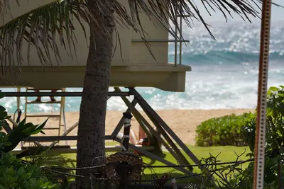 Image de Hawaiian Hale