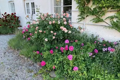 Image de Ground floor apartment in charming turn of the century villa near the sea Båstad