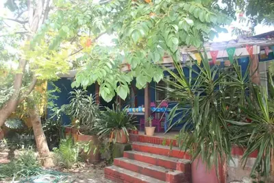 Image de Lush and airy bungalow with nice garden view