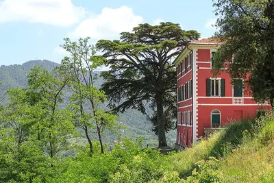 Image de Costa Palace