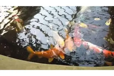 Image de Spacious Apartment!