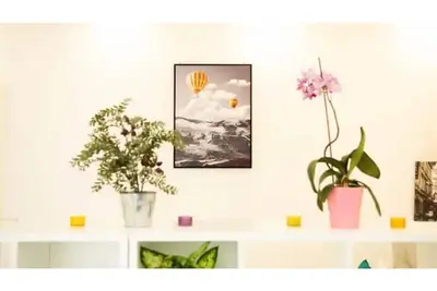 Image de Cute and Sunny Studio - Central Location