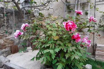 Image de A l abri du mistral à pieds au village