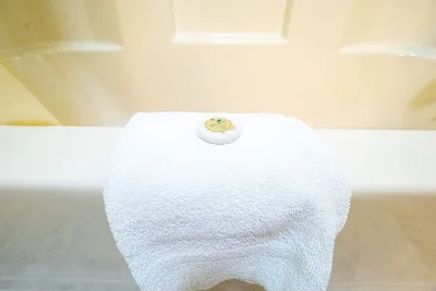 Image de Room: Ohiopyle Adventures - Stay Where the Action Is