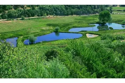 Image de The Crows Nest