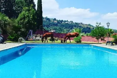Image de A Sicilian guesthouse with Pool on Mt. Etna, perfect for Families & Groups/x16p.