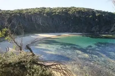 Image de Shaded Headland Retreat