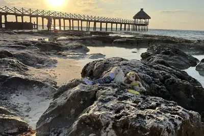 Image de Two Bedroom Residence Loft - will open soon  in new theme park