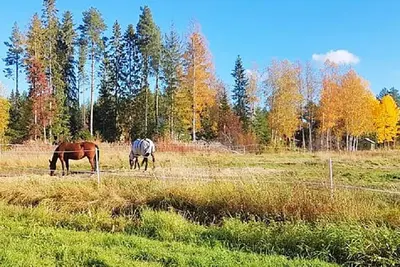 Image de Maison de vacances pour 8 a Bureå-By Traum
