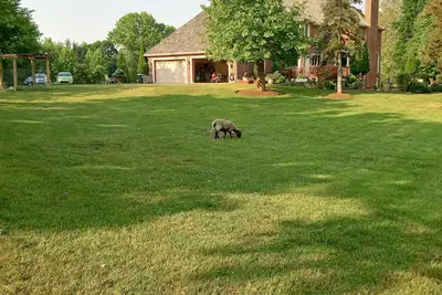 Image de Perfect Family Getaway: Spacious 5br Home in Barrington