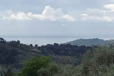 Image de country house with sea view in secular olive grove