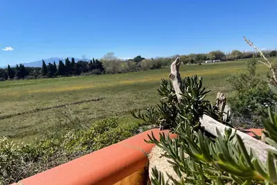 Image de Appartement 2 pièces à Argelès-sur-Mer, 300m de la plage, terrasse, parking, animaux acceptés