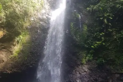 Image de Chez Tonton David 972