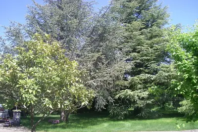 Image de 285 m² villa with 2500 m² enclosed and 9x4 swimming pool heated to 30°