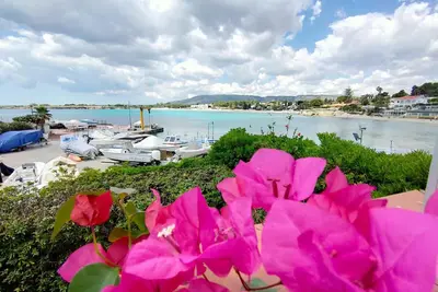 Image de Amazing Fontane Bianche