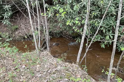 Image de Tallulah Gorge Guest Suite One