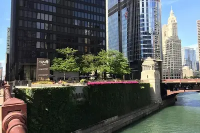 Image de Chicago Beach Trip! 3 Units Near Oak Street Beach and Ohio Street Beach!