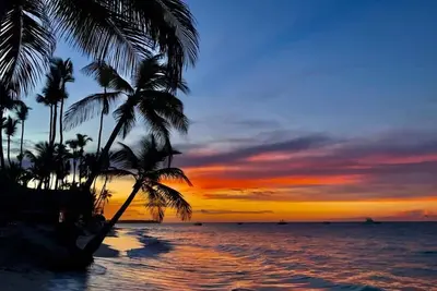 Image de Luxury Miami Villa with Pool