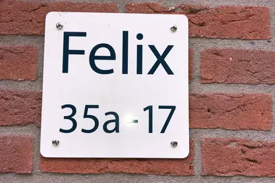 Villa Felix with sauna in Ermelo