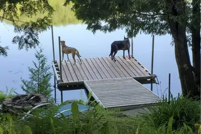Image de Cozy lakefront cottage - 15 minutes from Tremblant