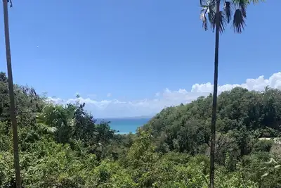 Image de La Petite Voile Grise