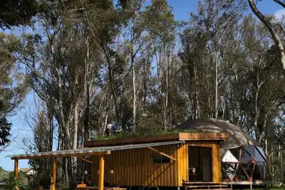 Image de Dome house in the nature, forest and beach