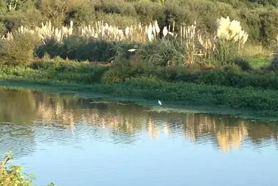 Image de Homerez - Appartement à Capbreton