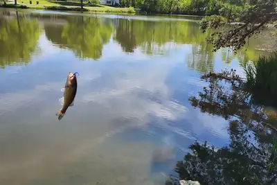 Image de Oasis close to downtown Charlotte!